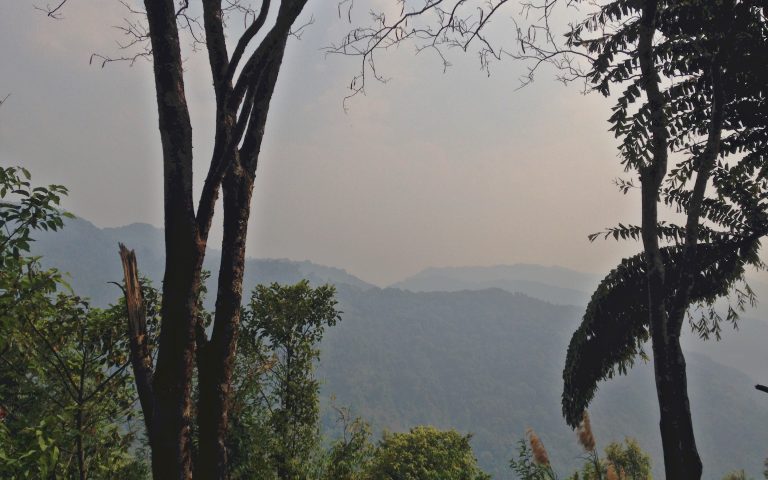 Реликтовый лес Северного Таиланда 7
