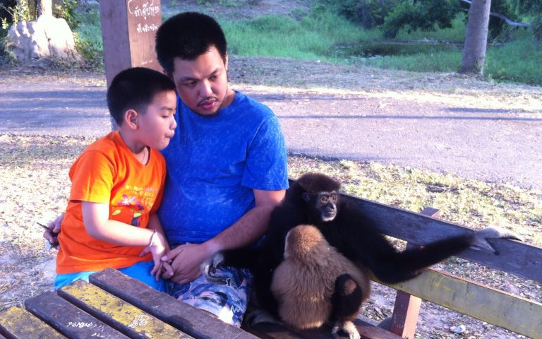 Ручные обезьяны в Чаамском парке