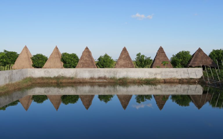 Камбоджа пирамидальная
