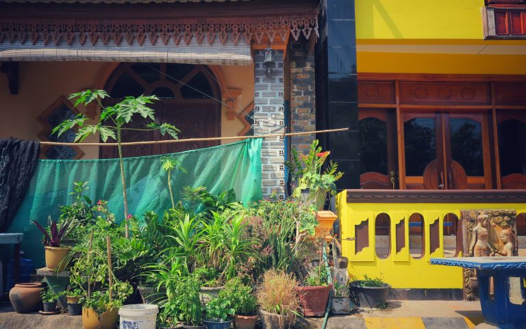 Городские сады Лаоса