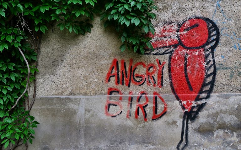 Граффити в Вильнюсе: Angry Bird