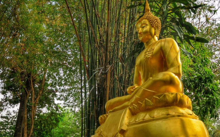 Будда в бамбуковой роще