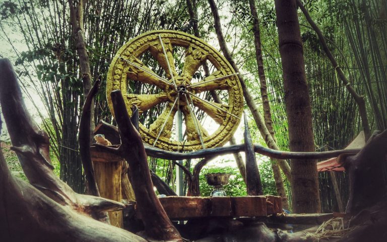 Колесо Дхармы в бамбуковом антураже