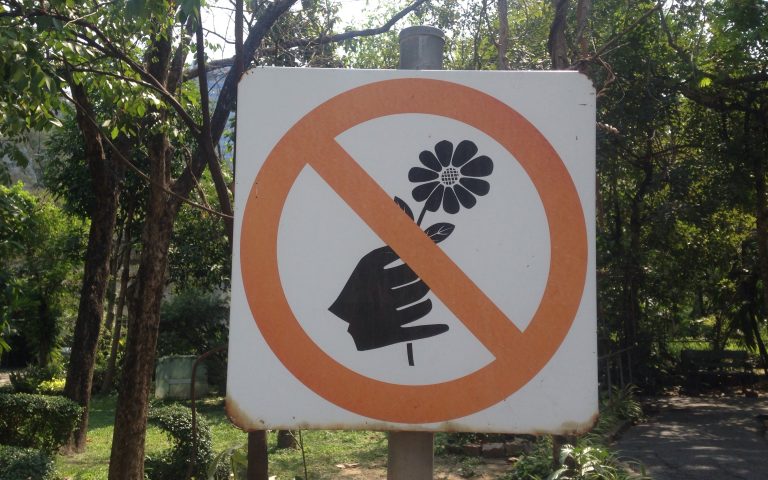 Знак «Цветы не рвать»