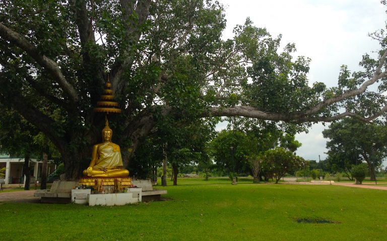 Будда в парке